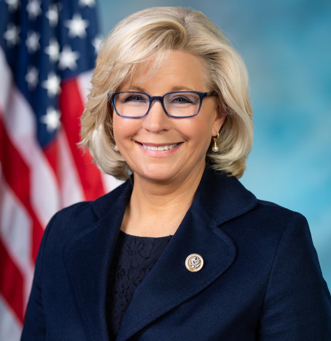 liz cheney net worth